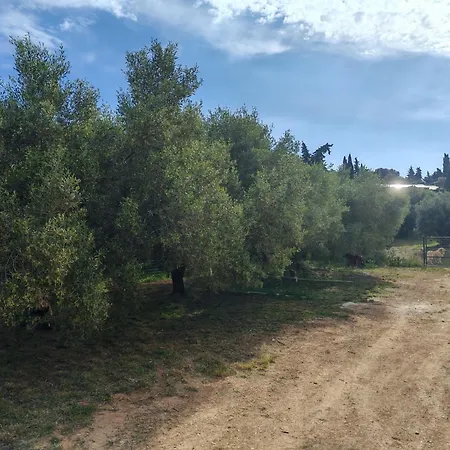 Yachting 83 Lyxtält Sanary-sur-Mer