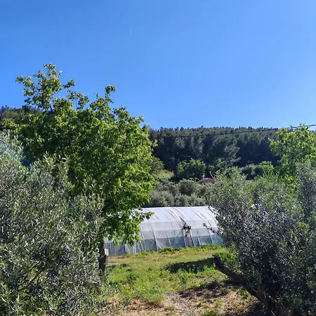 Lyxtält Yachting 83 *